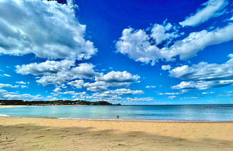 Avoca Beach